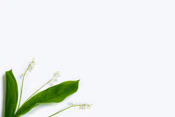 Rolgordijnen Lily of the valley flower on white background © alenalihacheva