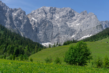 Naklejka premium Picturesque alpine landscape in spring