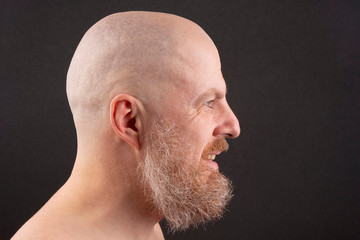 portrait of a bearded and bald man in profile
