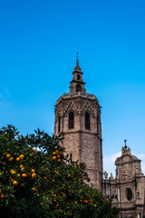 Fototapeta na wymiar Cathédrale de Valencia