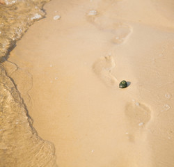 Pebble on a beach with the sea in the background