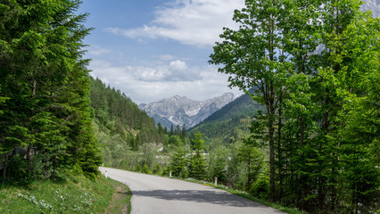Road leading to the mountains