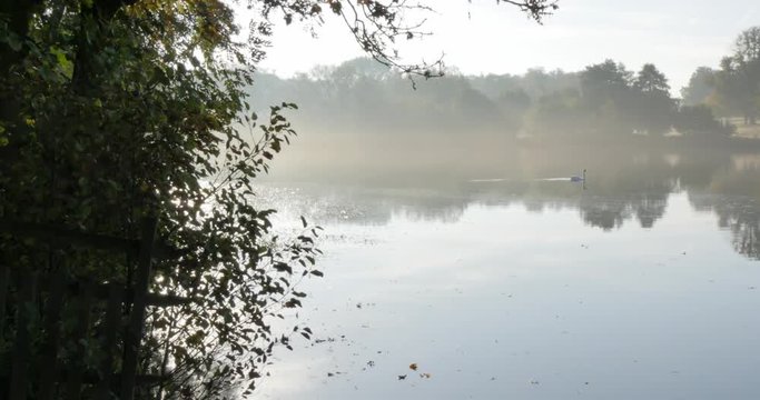 Autumn colors in Hardwick Park, Derbyshire, England, United Kingdom, Europe 