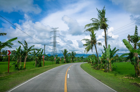 Sharp turn on Road Trip through vibrant green rice field - Leyte, Philippines