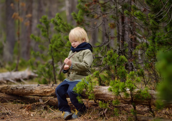 Cute little boy walks in Swiss national Park on spring. Hiking with little kids.