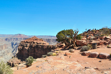 People have funning in Grand Canyon