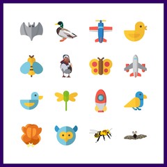 wing icon. bird and airplane vector icons in wing set. Use this illustration for wing works.