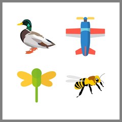 4 wing icon. Vector illustration wing set. duck and dragonfly icons for wing works
