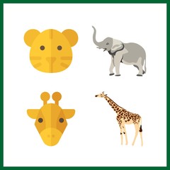 4 zoo icon. Vector illustration zoo set. tiger and giraffe icons for zoo works