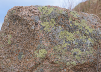 Large pink granite boulder - good for background