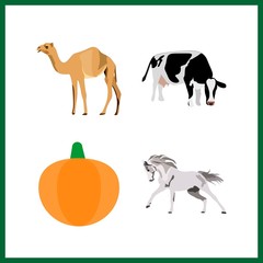 4 farm icon. Vector illustration farm set. horse and camel icons for farm works