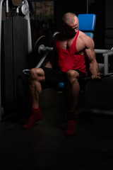 Man Exercising Biceps In The Gym