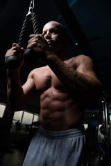 Fototapeta na wymiar Bodybuilder Exercising Triceps