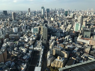 Tokyo View from a Skyscraper 