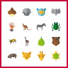 16 animal icon. Vector illustration animal set. vanes and beetle icons for animal works