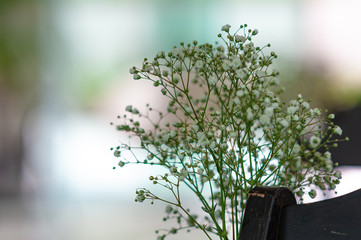 galhos de flores pequenas par decoração
