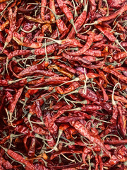 Fototapeta premium Red dried chili for cooking