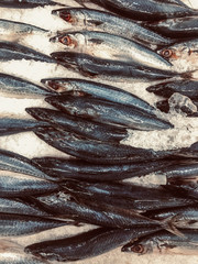 Small Saba fish placed on ice