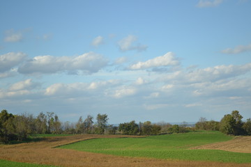View of a cropped field at a bright sunny day with buildings on the background