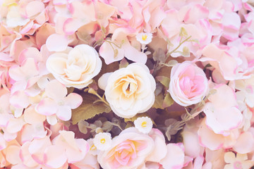 Obraz na płótnie Canvas Colorful flower nature background.rose flower.