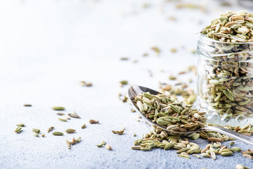 Fennel seeds in a glass jar and a metal spoon, gray kitchen table background, selective focus