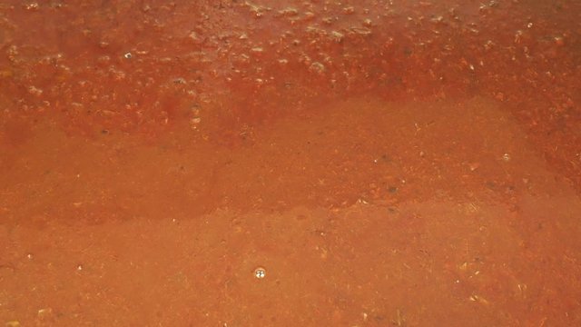 Plum ferment and fermentation barrel yeast into the tub leading to the boiler by a gas boiler firing, growing distillery distillation for the production of plum brandy plum liquor slivovitz alcohol