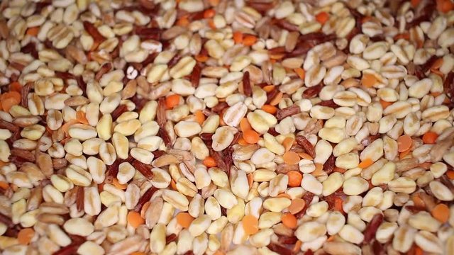 Durum wheat spelled spelt red rice lentils food closeup texture pattern. Seamless looping video footage
