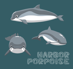 Harbor Porpoise Cartoon Vector Illustration