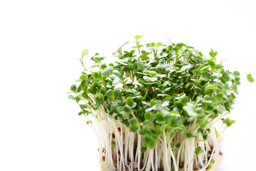 ブロッコリースプラウト