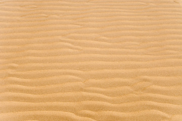 Fototapeta na wymiar Golden sand texture and background 