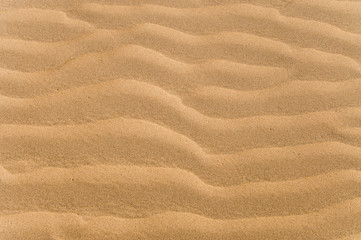 Ripples in the sand