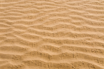 texture of brown sand
