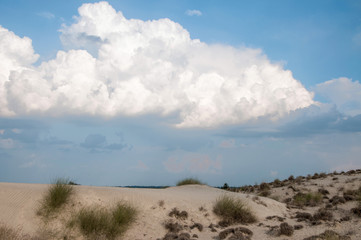 Clouds over the desert oasis 