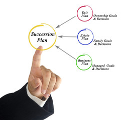 Components of Succession plan