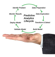 Predictive Analytics Lifecycle