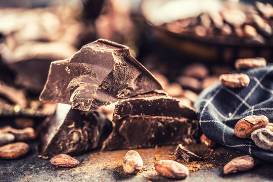 Dark chokolate cocoa beans and powder on concrete table