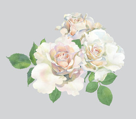 A bouquet of light roses. For congratulations and invitations