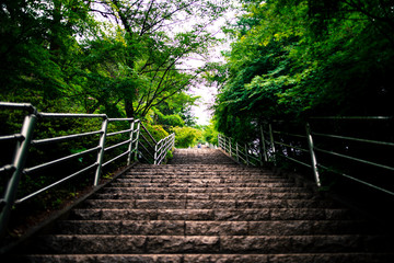 Stairs leading up to the Chureito Pagoda near Lake Kawaguchi Japan