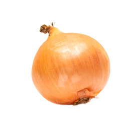 Yellow onion isolated on white background, studio photo.