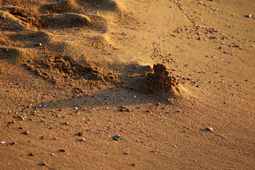 sandy beach sea water summer nature