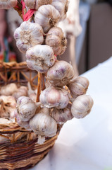 Autumn harvest: basket with garlic
