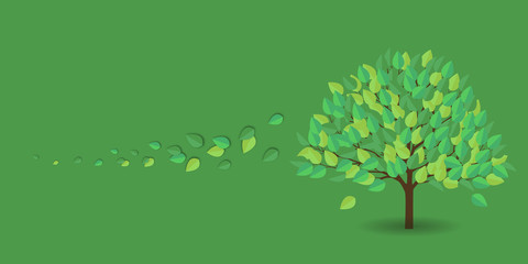 Obraz premium 新緑 葉 緑 背景 