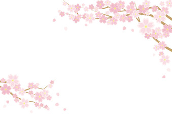 Fototapeta na wymiar 桜のある春の風景のイラスト(白背景)横長の書式で横書き用