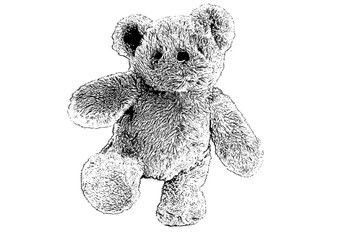 teddy bear,sketch teddy bear,drawing teddy bear isolated on white background