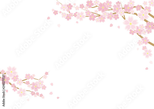 桜のある春の風景のイラスト 白背景 横長の書式で横書き用 Wall Mural 深澤カラス