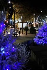 Lumi&egrave;re violette