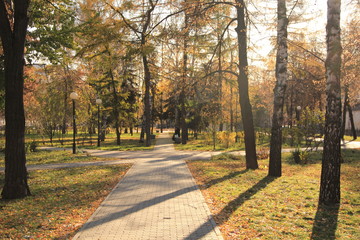 Naklejka premium autumn in the park