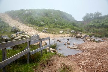 Fototapeta na wymiar Hiking trail, stream, wooden fence and tree in the fog. Foggy summer day. La Rhune mountain, Basque country, France