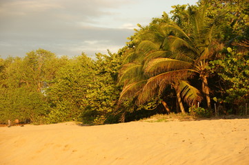 Guadeloupe / Gwada / Kleine Antillen