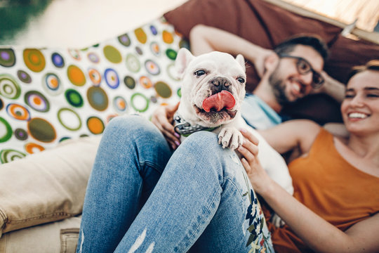 JOIN THE BULLDOG FAMILY visual data 2